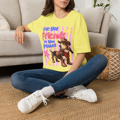 I’ve Got Friends In Low Places T-Shirt | Country Dog Cowboy Graphic