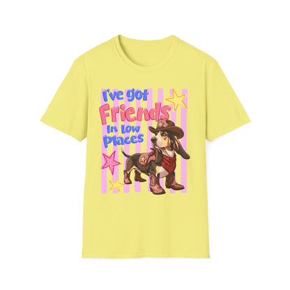 I’ve Got Friends In Low Places T-Shirt | Country Dog Cowboy Graphic