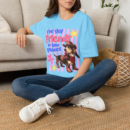 I’ve Got Friends In Low Places T-Shirt | Country Dog Cowboy Graphic