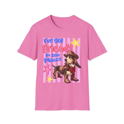 I’ve Got Friends In Low Places T-Shirt | Country Dog Cowboy Graphic