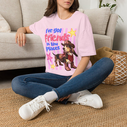 I’ve Got Friends In Low Places T-Shirt | Country Dog Cowboy Graphic